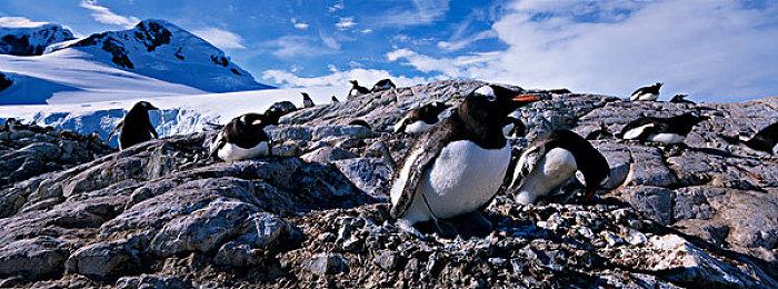 吉田直树曾开发类似《血源》的新IP 有同样的武器