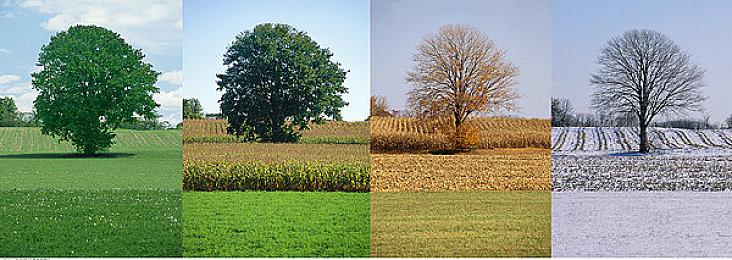 《最终幻想16》PC版9月17日晚上10点解锁